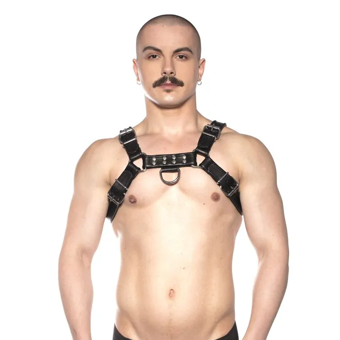 Prowler RED Bull Harness Black Medium Prowler Red Anal