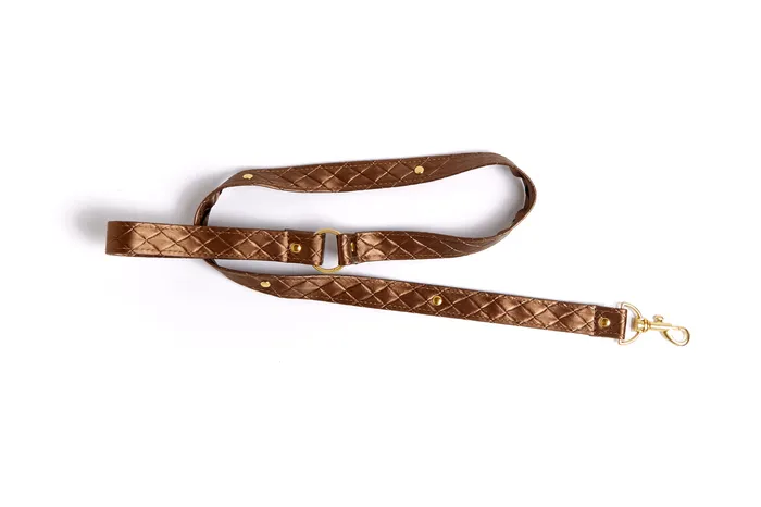 Allure Lingerie Male Sex Toys Darling Pet Collar With Leash