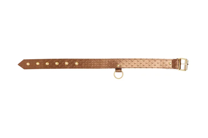 Allure Lingerie Male Sex Toys Darling Pet Collar With Leash