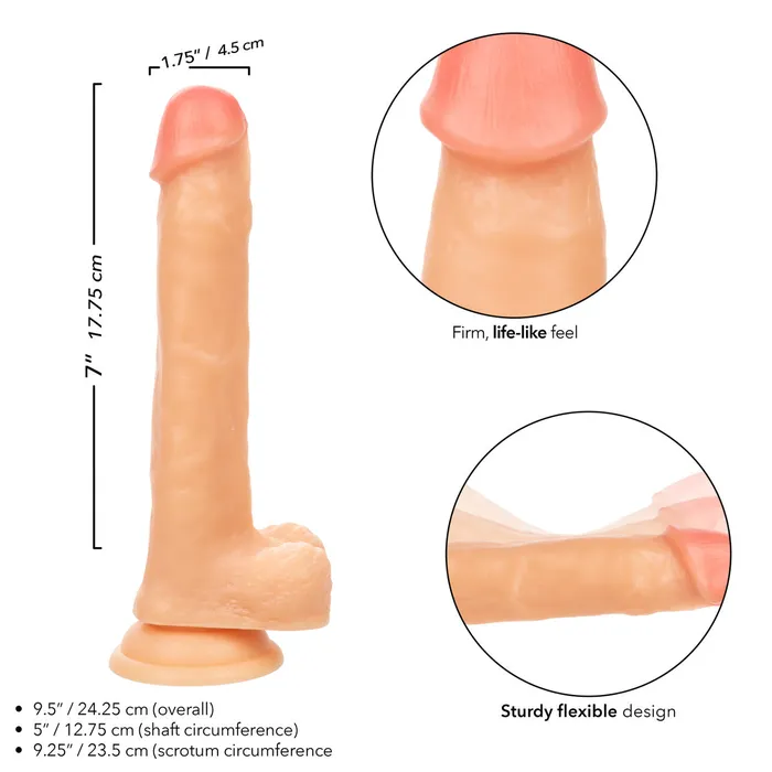 Working Stiff The Cabana Boy Cal Exotics Dildos