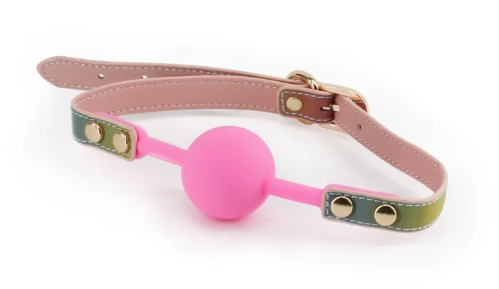 Spectra Bondage Ballgag Rainbow nsnovelties Couples