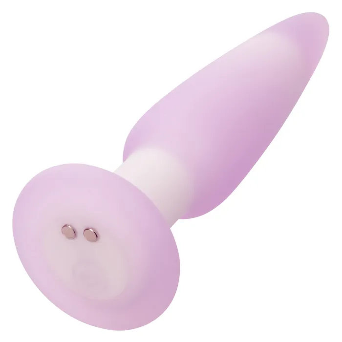 CalExotics Anal Lavender Haze Slender Probe