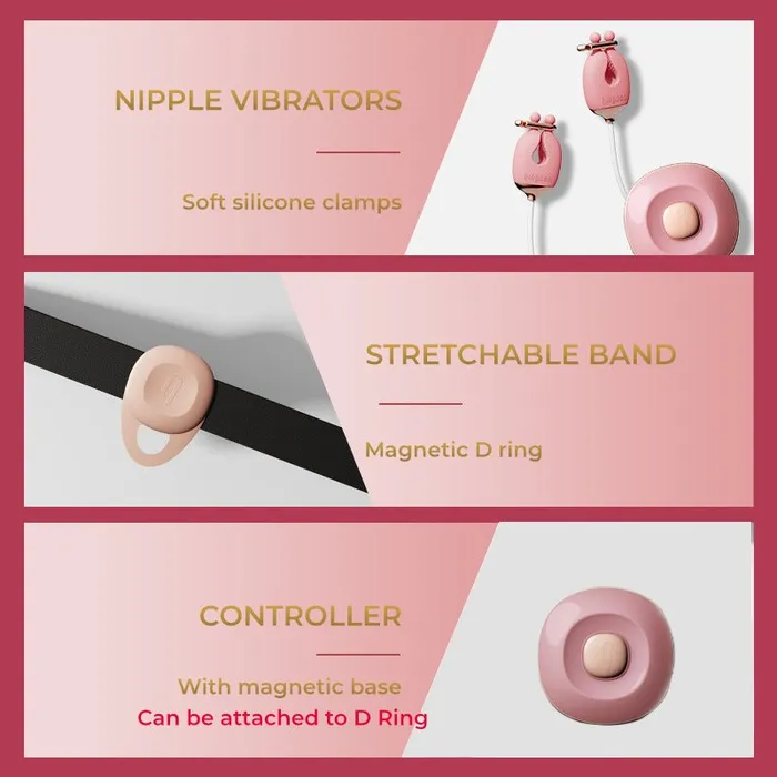 Female Sex Toys FRISKY BUSINESS SG Tease N Please Vibrating Nipple Clamps with BDSM Collar
