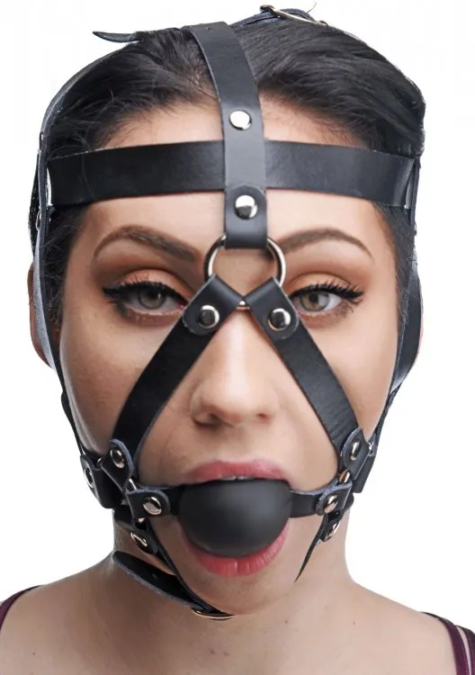 Master Series Master Series Leather Head Harness Ball Gag Male Sex Toys