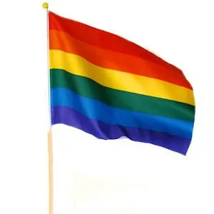 Medium Pride Hand Flags Traveling Tickle Trunk Female Sex Toys