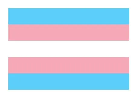Medium Pride Hand Flags Traveling Tickle Trunk Female Sex Toys Medium Pride Hand Flags Traveling Tickle Trunk Female Sex Toys