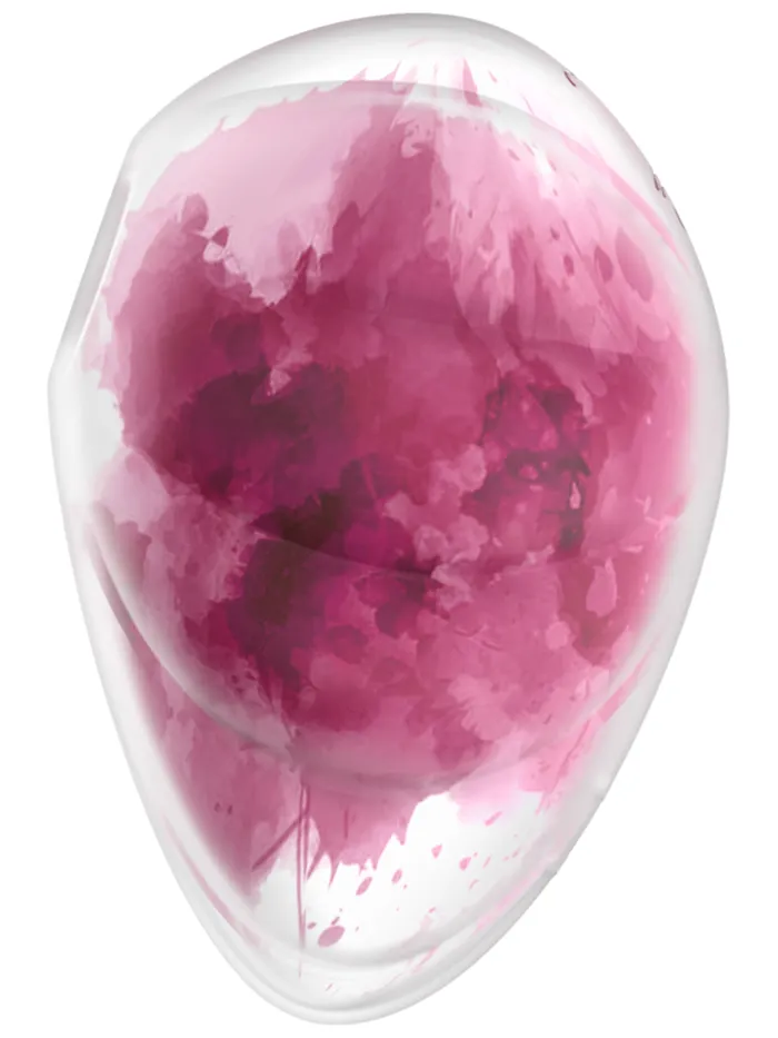 Satisfyer Cloud Dancer Rechargeable Vibrating Air Pulse Stimulator Red Print Windsor Wholesale Vibrators