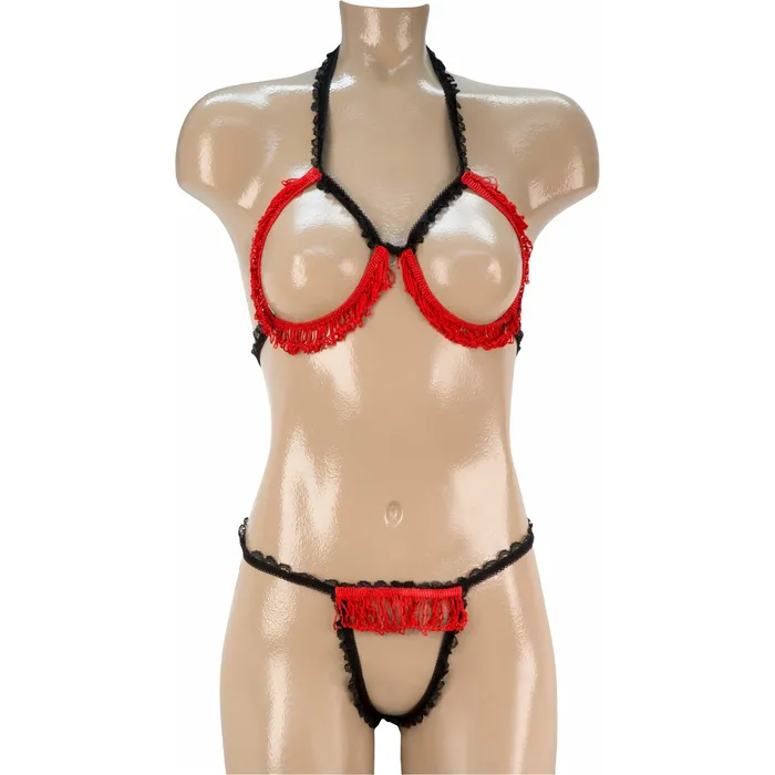Anal Sexy 2 PC Open Bra Crotchless Panty Set Black with Red OS Other Brands