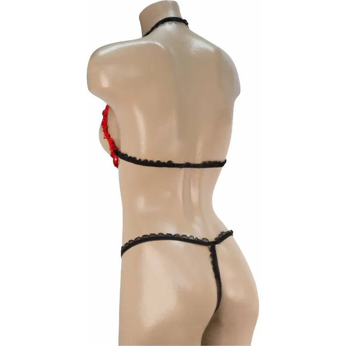 Anal Sexy 2 PC Open Bra Crotchless Panty Set Black with Red OS Other Brands