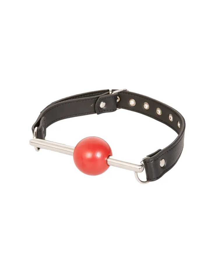 Ball Gag with Stainless Steel Rod HonourSkintwocom Male Sex Toys