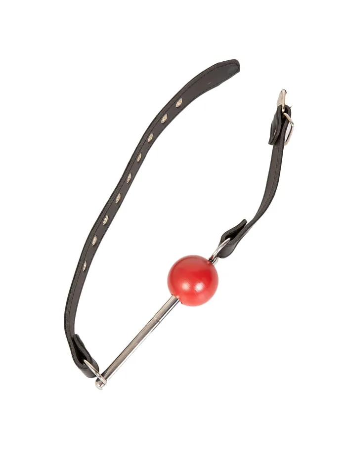 Ball Gag with Stainless Steel Rod HonourSkintwocom Male Sex Toys Ball Gag with Stainless Steel Rod HonourSkintwocom Male Sex Toys
