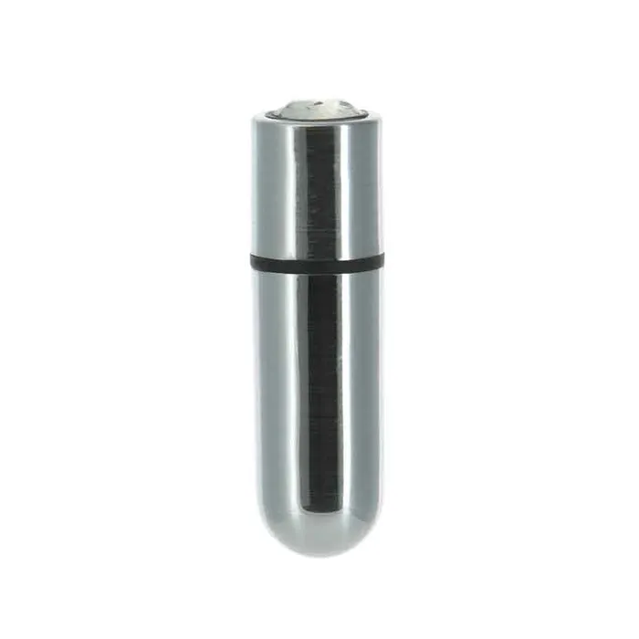 Female Sex Toys PowerBullet FirstClass Bullet 25 Bullet Vibrator with Key Chain Pouch Silver
