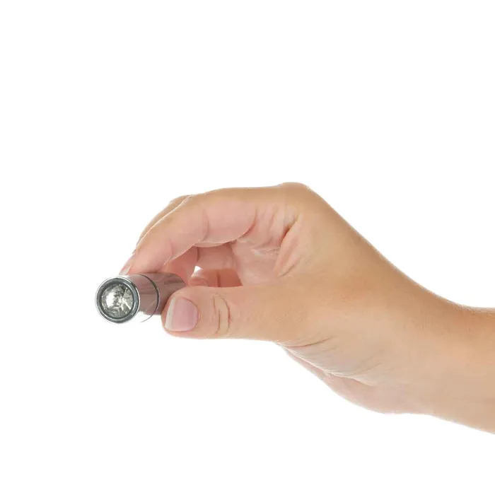 Female Sex Toys PowerBullet FirstClass Bullet 25 Bullet Vibrator with Key Chain Pouch Silver