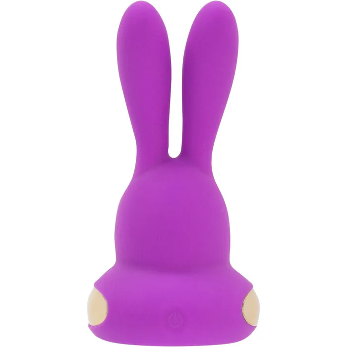 Kama Sutra Rhythm Chari Clitoral Vibrator Purple Kama Sutra Vibrators