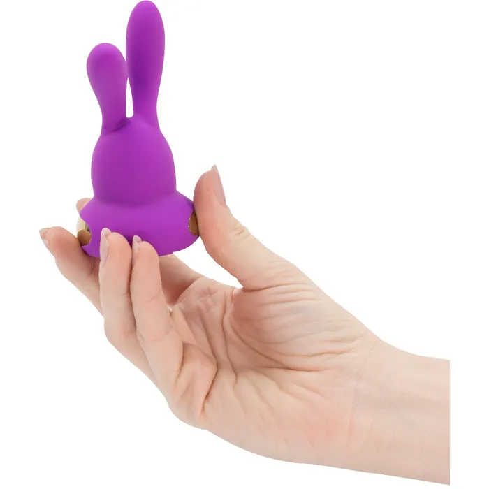 Kama Sutra Rhythm Chari Clitoral Vibrator Purple Kama Sutra Vibrators