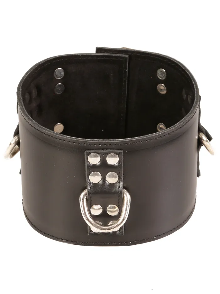 Leather 3 Ring Posture Collar HonourSkintwocom Male Sex Toys