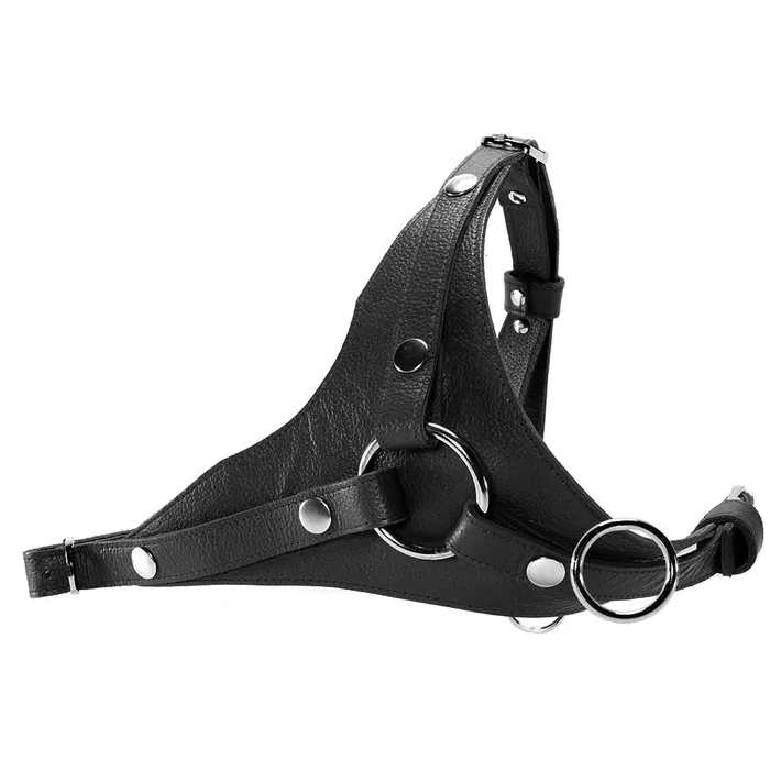 Leather Dildo Harness in Black Rouge Female Sex Toys