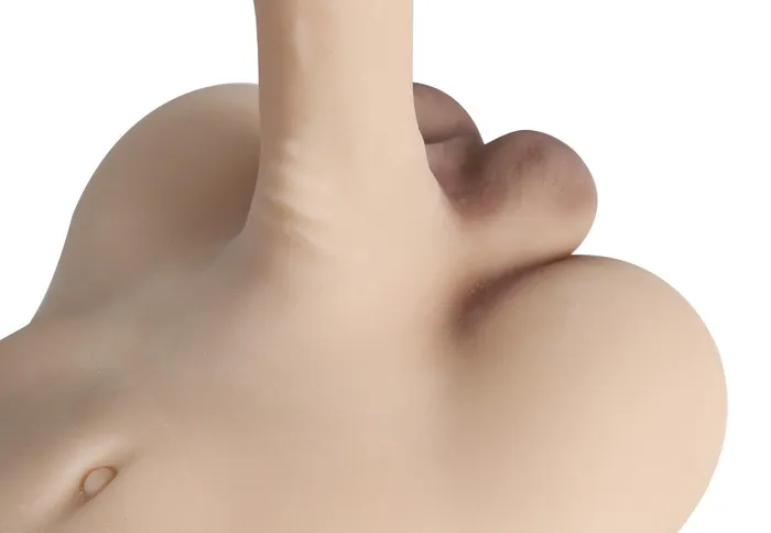 Neojoy Male Mini Torso 35kg White Skin Neojoy Female Sex Toys Neojoy Male Mini Torso 35kg White Skin Neojoy Female Sex Toys