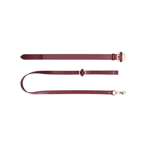 Ouch Halo Collar With Leash SHOTS AMERICA Couples