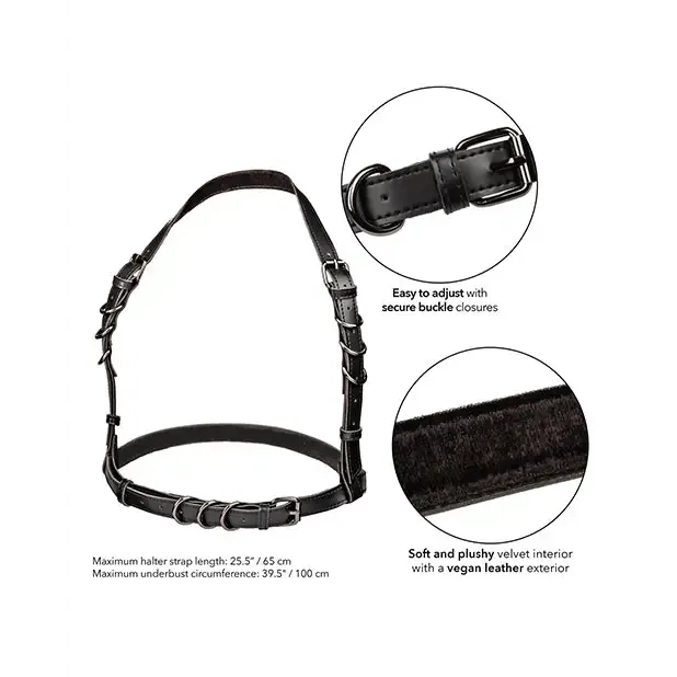 Plus Size CalExotics Euphoria Collection Plus Size Halter Buckle Harness Plus Size CalExotics Euphoria Collection Plus Size Halter Buckle Harness