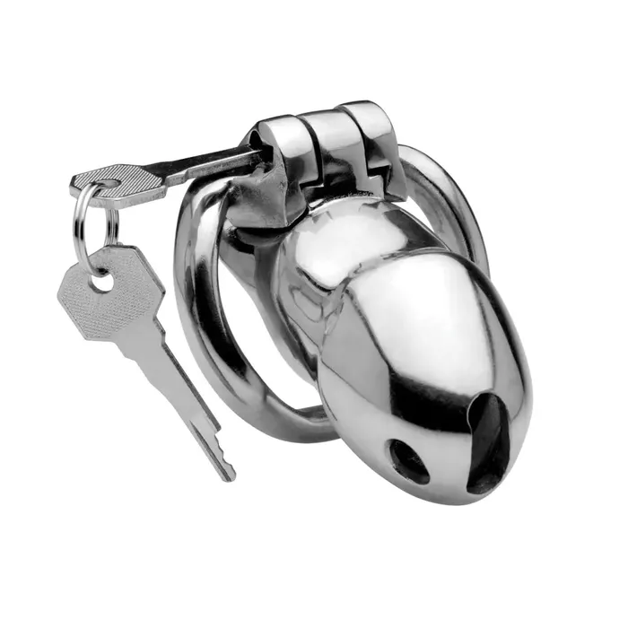 Rikers 247 Stainless Steel Locking Chastity Cage Master Series Male Sex Toys Rikers 247 Stainless Steel Locking Chastity Cage Master Series Male Sex Toys