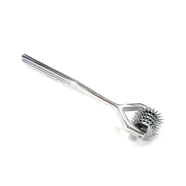Rouge Stainless Steel Pinwheel X5 Dildos