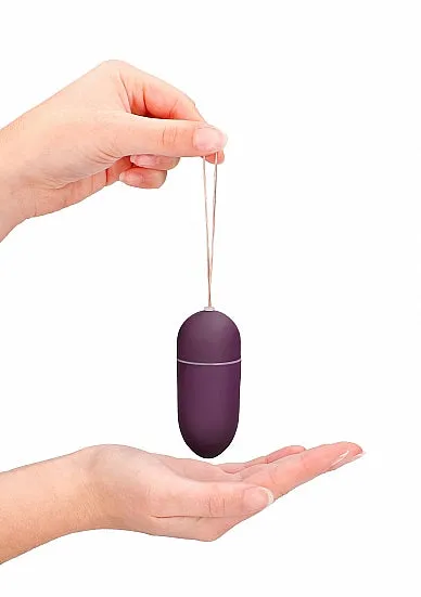 Vibrators HonourSkintwocom 10 Speed Remote Vibrating Egg Big Purple